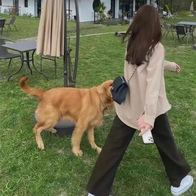 超人气动物园